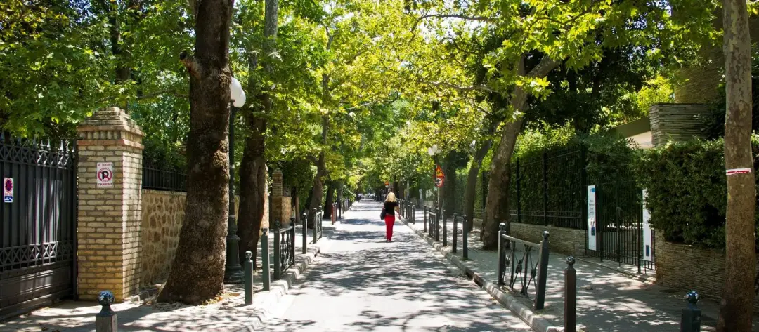 کیفیسیا (Kifisia)